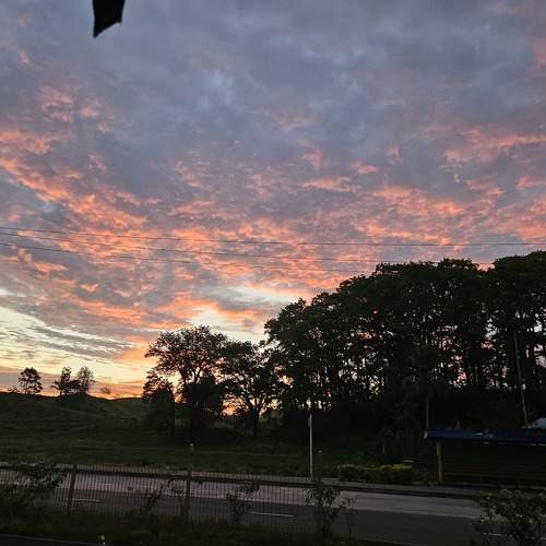 Photo #9900683
