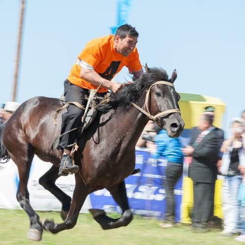 Photo #9900728