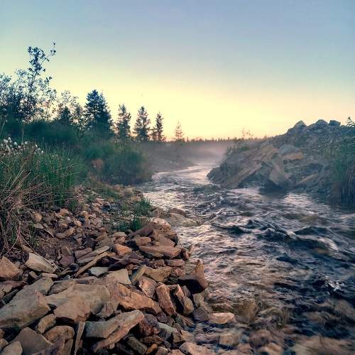 Photo #9900753
