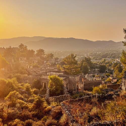 Photo #9900778
