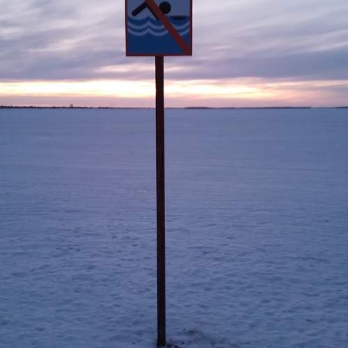 Photo #9900962