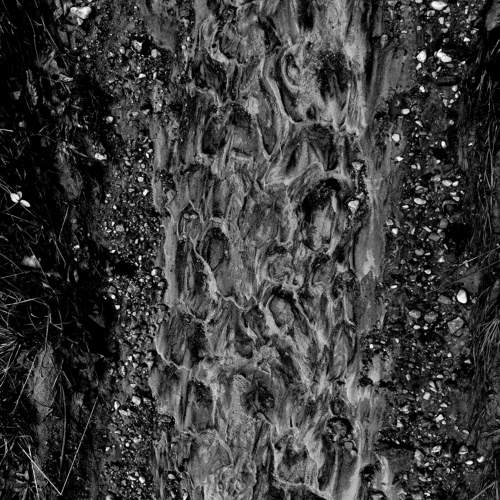 Photo #9901082
