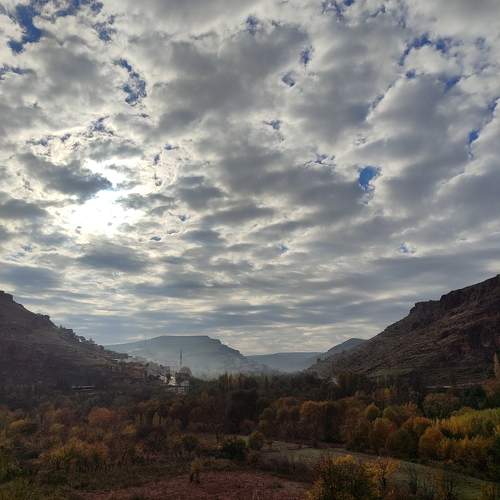 Photo #9901377