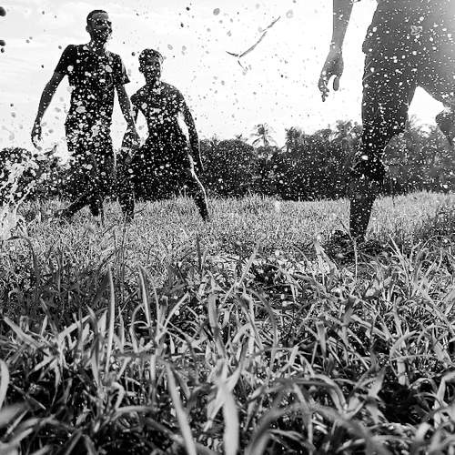 Photo #9901408
