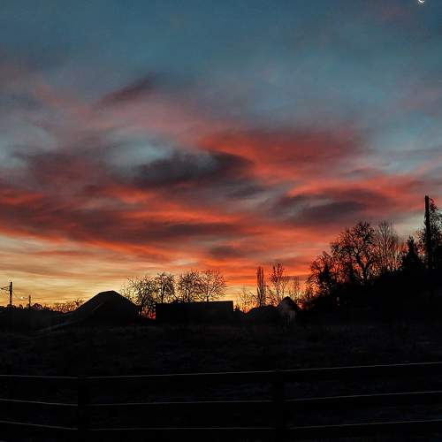 Photo #9901416