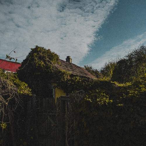 Photo #9901606