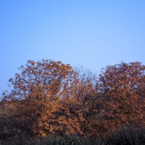 Photo #9901848