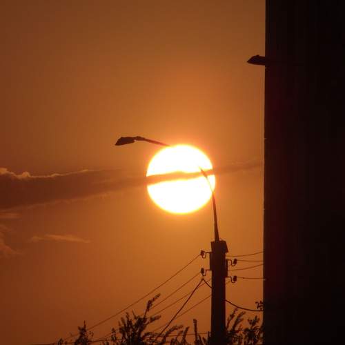 Photo #9901941