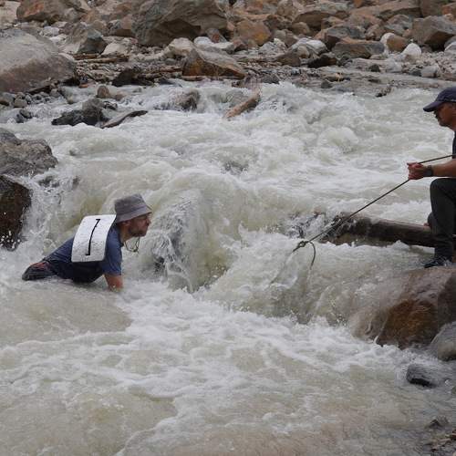 Photo #9901982
