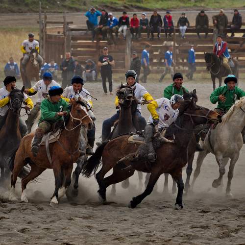 Photo #9902034