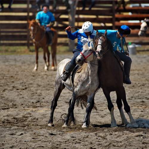 Photo #9902041