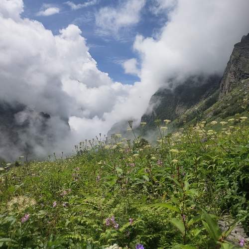 Photo #9902388