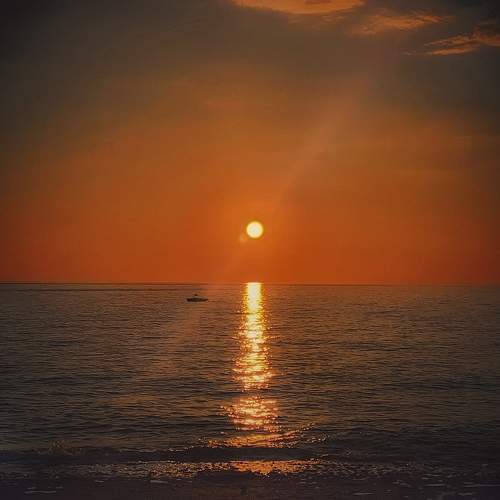 Photo #9902856