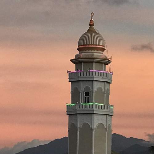 Photo #9902979