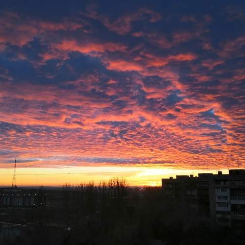 Photo #9903022