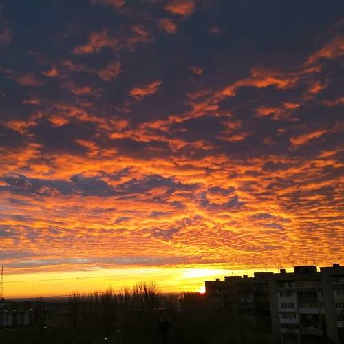 Photo #9903023