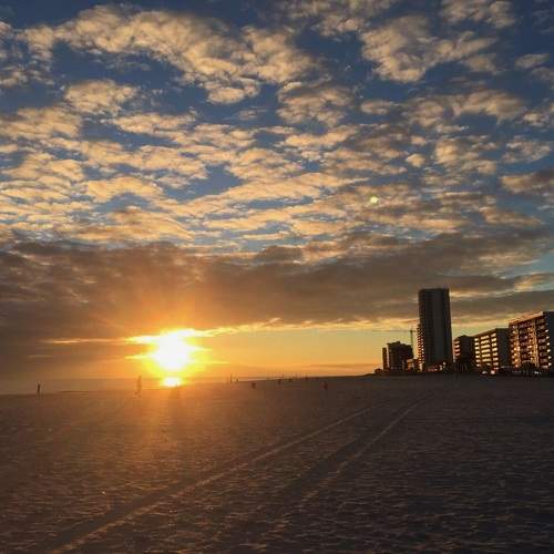 Photo #9903029