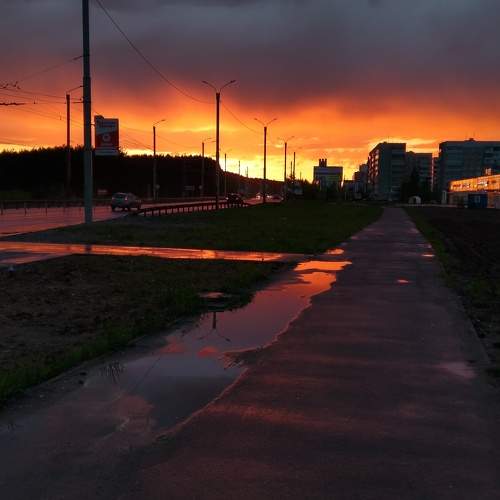 Photo #9903058