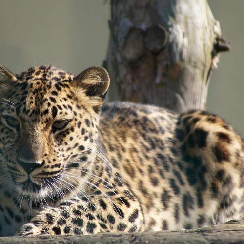 Photo #9903773
