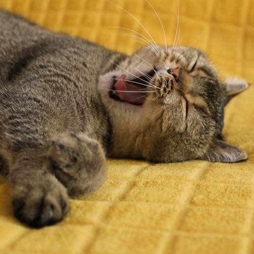 Photo #9903806