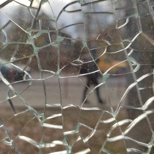 Photo #9904087