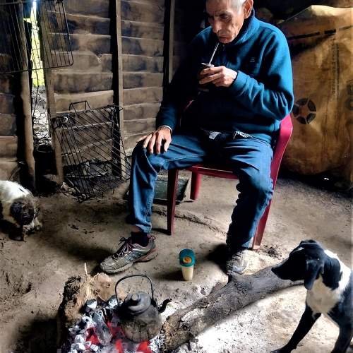 Photo #9904552