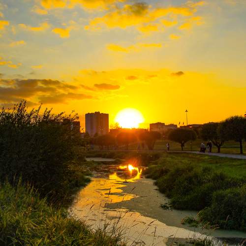 Photo #9904593
