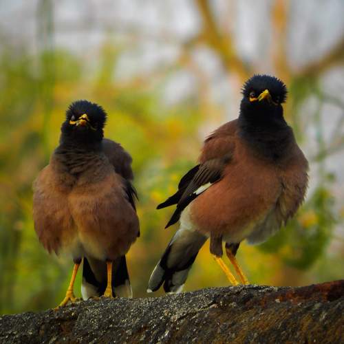 Photo #9904677