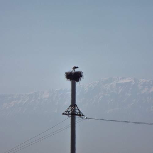 Photo #9904704