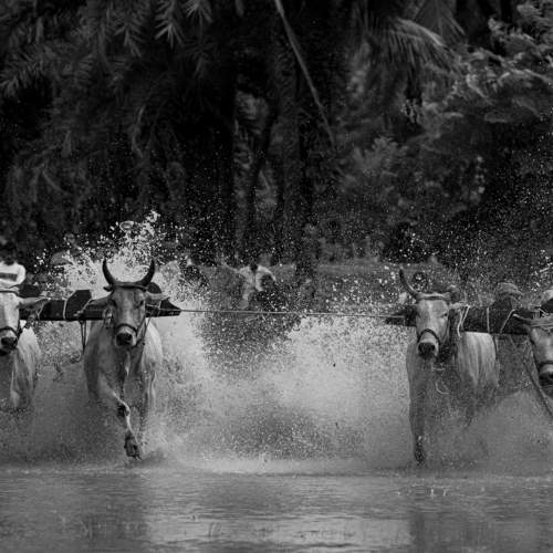 Фотография #9904741