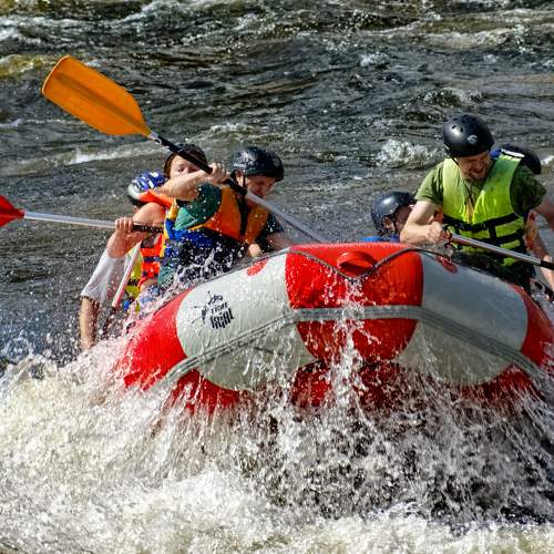 Photo #9904917