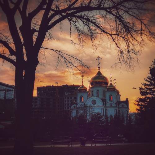 Photo #9905372