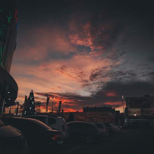 Photo #9905373