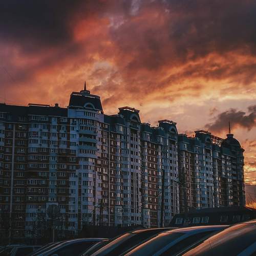 Photo #9905375