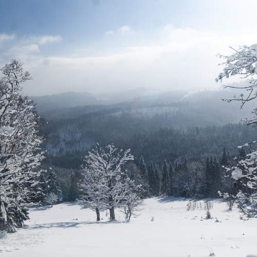 Photo #9905486