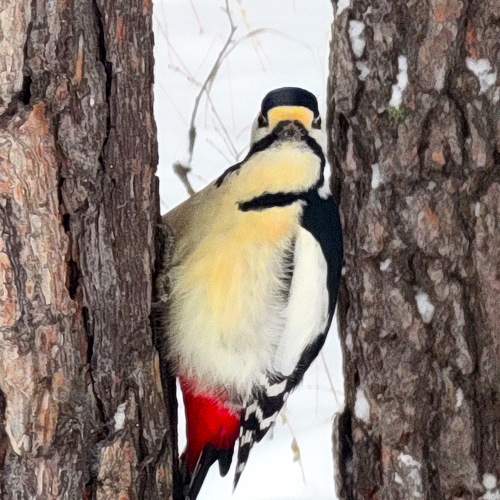Photo #9906766