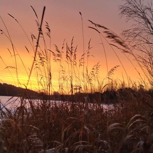 Photo #9906835