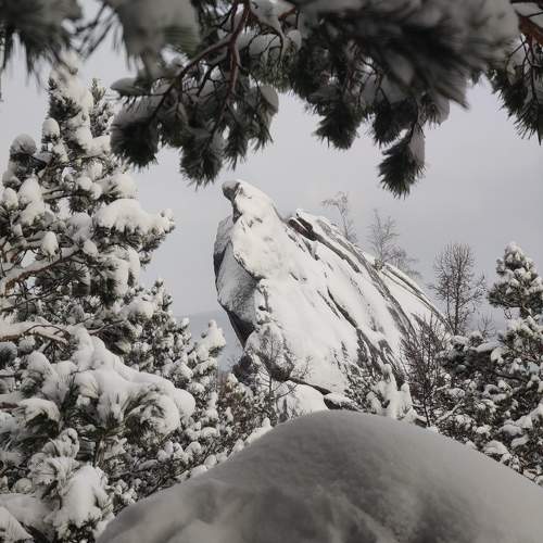 Photo #9906839