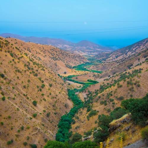 Photo #9906996