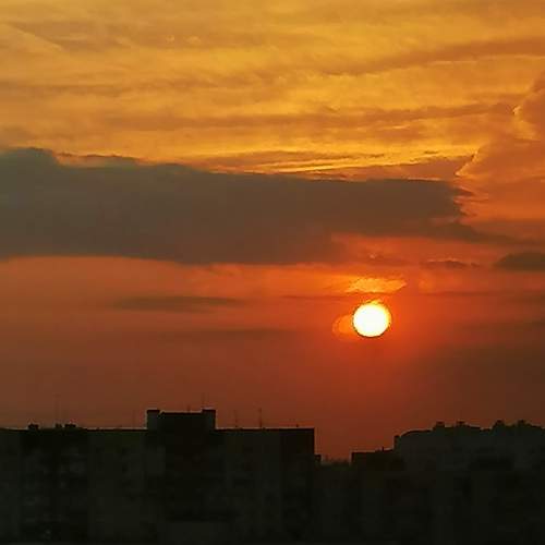 Photo #9907482