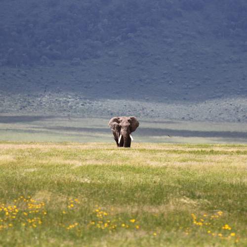 Photo #9907592