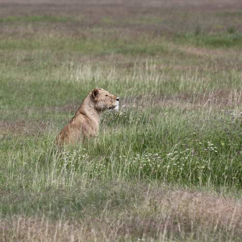 Photo #9907603