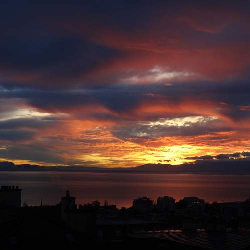 Photo #9907830