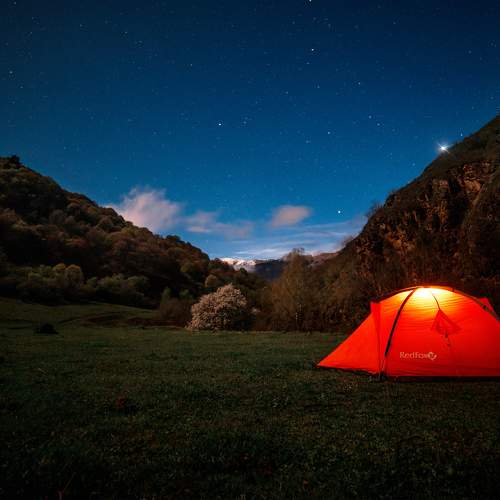Photo #9908241
