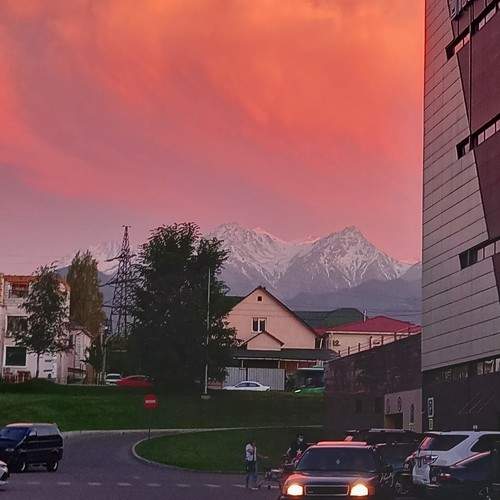 Photo #9908463