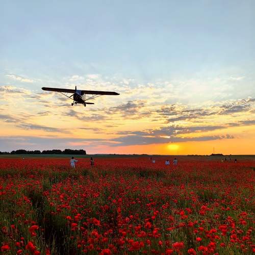 Photo #9908493