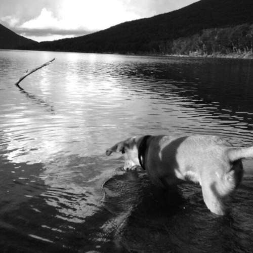 Photo #9908730