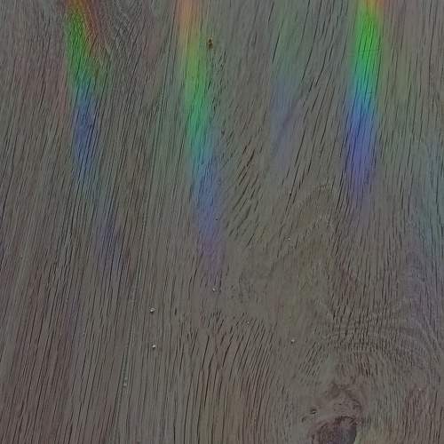 Photo #9908942