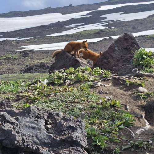 Photo #9909063