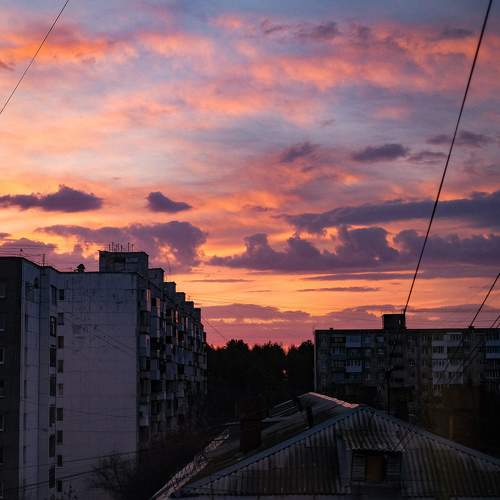 Photo #9909611